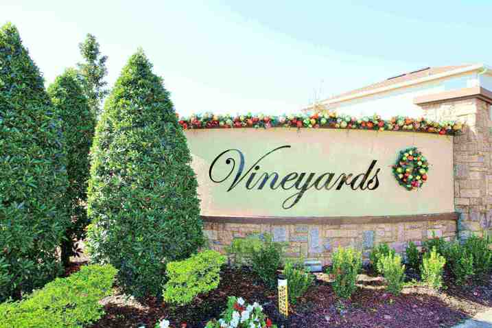 Vineyards Homes For Sale Horizons West Florida 34787|Wendy Morris Realty