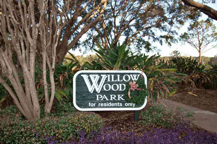 Willowwood Doctor Phillips Florida | Wendy Morris Realty