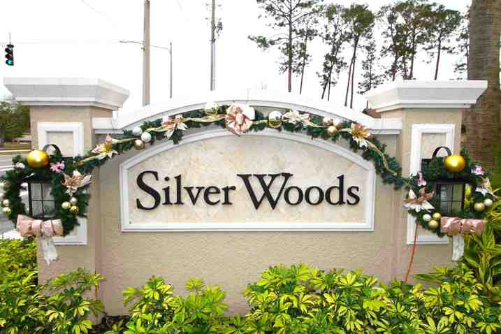 Silver Woods, Windermere FL Homes for Sale