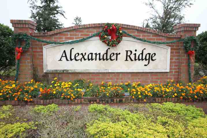 Alexander Ridge Winter Garden | Alexander Ridge Homes for Sale | Alexander Ridge Winter Garden | Wendy Morris Realty