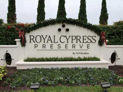 Royal Cypress Preserve|Disney Vacation Homes Orlando Fl