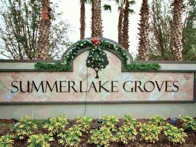The Highlands at Summerlake Groves - New Homes in Winter Garden 34787 | Wendy Morris Realty