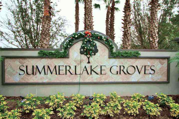 The Highlands at Summerlake Groves - New Homes in Winter Garden 34787 | Wendy Morris Realty