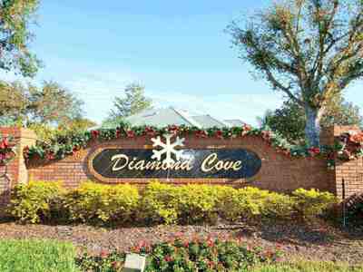 Diamond Cove Homes For sale Dr Phillips|Diamond Cove Homes Dr Phillips| Diamond Cove Orlando