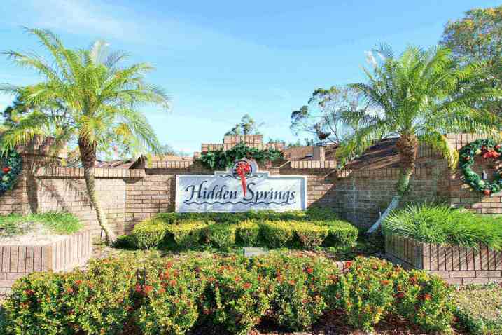 Hidden Springs Homes For Sale|Hidden Springs, Doctor Phillips, FL Real Estate & Homes for Sale | Hidden Springs Dr Phillips