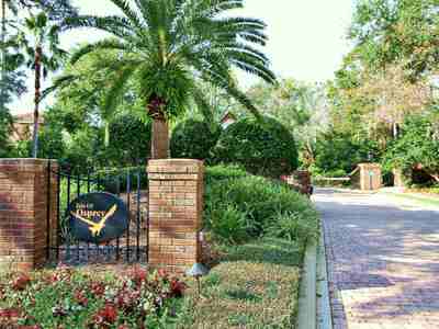 Isle of Osprey Bay Hill | Isle of Osprey Homes for Sale Dr Phillips