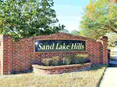 Sand Lake Hills Homes For Sale|Wendy Morris Realty