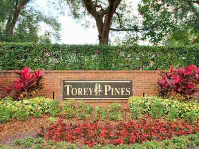 Torey Pines Homes For sale Dr Phillips|Wendy Morris Realty